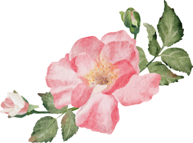 Çiçek açan suluboya çiçek buketi