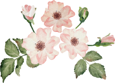 Çiçek açan suluboya çiçek buketi