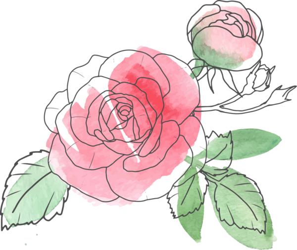 suluboya çizgili gül çiçeği buketi