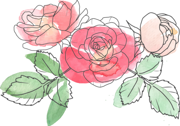 suluboya çizgili gül çiçeği buketi