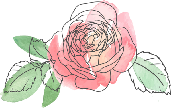 suluboya çizgili gül çiçeği buketi