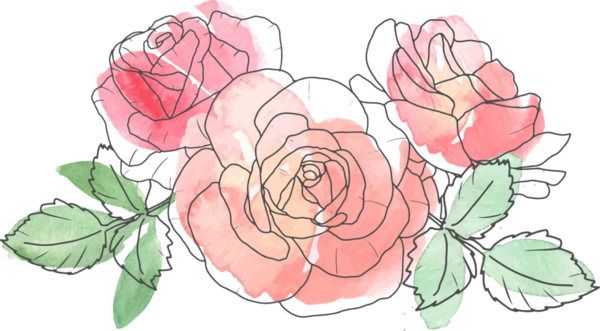 suluboya çizgili gül çiçeği buketi