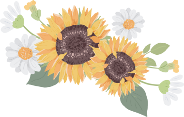 Suluboya el sevimli sarı ayçiçeği ve beyaz papatya çiçeği buketi çizer.