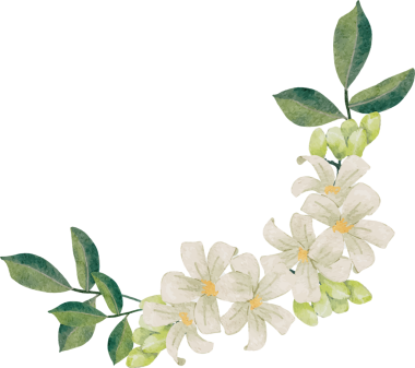 suluboya beyaz murraya portakal rengi yasemin çiçeği buket çelenk çerçevesi