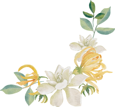 suluboya beyaz gardenya ve Tayland tarzı çiçek buketi çerçevesi