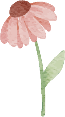 Mısır çiçeği suluboya küçük yabani çiçek botanik çelenk çerçevesi