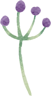 suluboya küçük yabani çiçek botanik çelenk çerçevesi