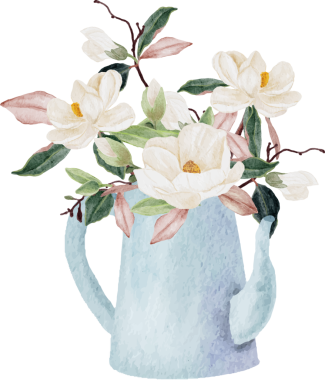 suluboya beyaz manolya çiçeği ve yaprak buketi.