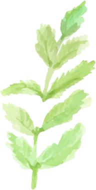 suluboya el çiçekli elementleri çizdi