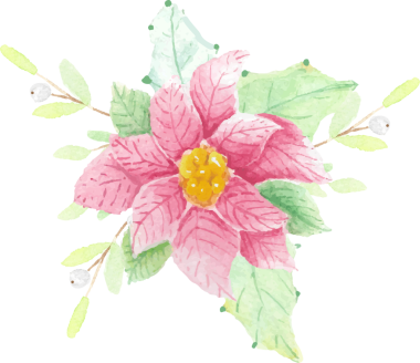 suluboya Noel çiçeği buketi