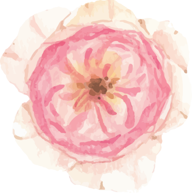 suluboya güzel İngiliz gül elementleri