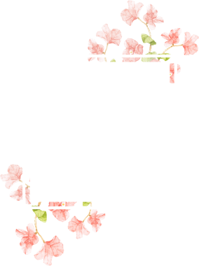 Sancak için suluboya pembe Bougainvillea çiçek buketi