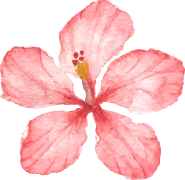 suluboya el yaz kırmızı amber çiçeği çizer