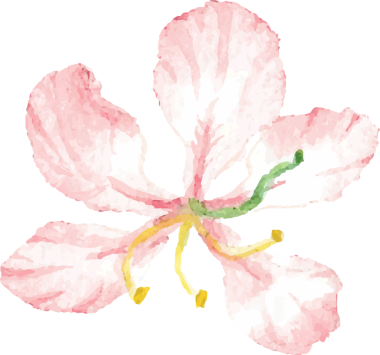 suluboya el yaz kırmızı amber çiçeği çizer