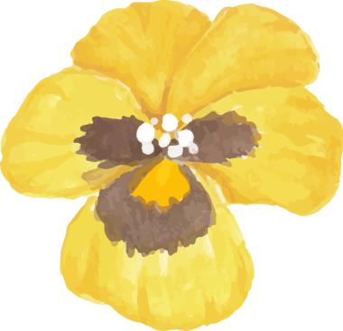 suluboya nonoş çiçek elementi