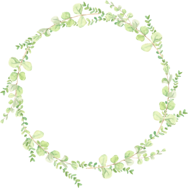 suluboya yeşil okaliptüs yapraklı çelenk çerçevesi