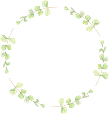 suluboya yeşil okaliptüs yapraklı çelenk çerçevesi