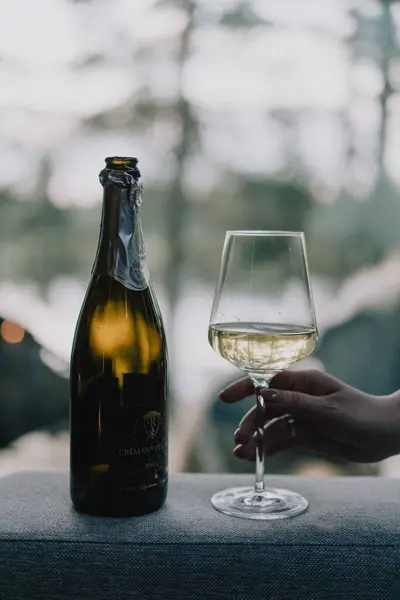 SAINT-PETERSBURG, RUSSIA - 31 Temmuz 2023: Bir bardak şarap ve pencere eşiğinde bir şişe. Gün batımında orman ve göl manzarası. Alkol ya da içecek. Kutlama tostu..