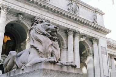 Tarihi bir kütüphanenin girişini koruyan çarpıcı bir aslan heykeli ihtişam ve zarafet saçıyor. New York 'taki halk kütüphanesi.