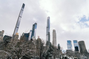 NEW YORK, ABD - 17 Şubat 2024: Taze karla kaplı, mimari güzelliği ve zarafeti gözler önüne seren modern bir ufuk çizgisi