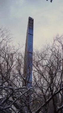 Kış yeşillikleriyle çerçevelenmiş modern gökdelenlerin büyüleyici manzarası, en iyi şehir zarafetini sergiliyor.