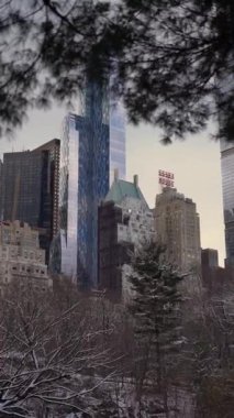 NEW YORK, ABD - 17 Şubat 2024: Taze karla kaplı, mimari güzelliği ve zarafeti gözler önüne seren modern bir ufuk çizgisi