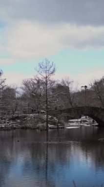 New York Central Park 'taki sakin bir nehrin üzerinde zarif bir şekilde uzanan büyüleyici bir taş köprüyü gözler önüne seren güzel bir kış manzarası.