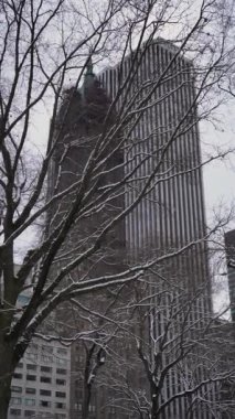 Kış yeşillikleriyle çerçevelenmiş modern gökdelenlerin büyüleyici manzarası, en iyi şehir zarafetini sergiliyor.