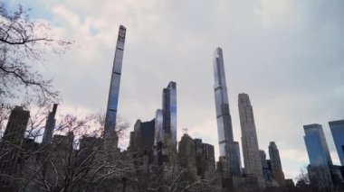 NEW YORK, ABD - 17 Şubat 2024: Kış yapraklarıyla çerçevelenmiş modern gökdelenlerin büyüleyici görüntüsü, kentsel zarafeti en iyi şekilde gözler önüne seriyor
