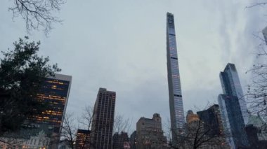 Göz kamaştırıcı ve güzel bir kış sahnesi Central Park yakınlarındaki ufuk çizgisini çıplak ağaçlarla süslüyor.