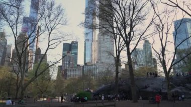 NEW YORK, ABD - 4 Nisan 2024: Bu canlı şehir parkı, ağaçların arasından süzülen güneş ışığıyla bereketli bir yeşillik bolluğuna sahip.