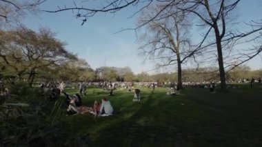 NEW YORK, ABD - 30 Mart 2024 Çevredeki yemyeşil ağaçlar ve yeşilliklerle dolu, güneşli ve keyifli bir günün tadını çıkaran insanlarla dolu canlı bir park
