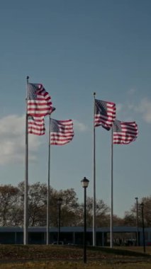 Muhteşem ve çarpıcı Amerikan bayrakları gururla ve zarif bir şekilde dalgalanıyor.