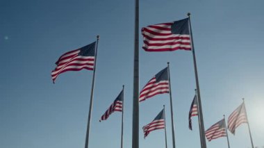 Muhteşem ve çarpıcı Amerikan bayrakları gururla ve zarif bir şekilde dalgalanıyor.