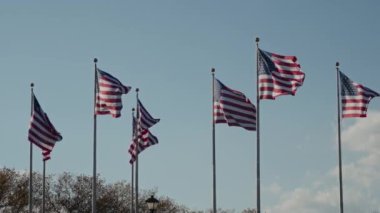 Muhteşem ve çarpıcı Amerikan bayrakları gururla ve zarif bir şekilde dalgalanıyor.