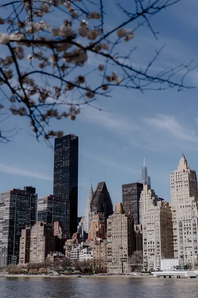 Güzel mimari ve bahar çiçeklerinin yer aldığı canlı bir şehrin göz kamaştırıcı manzarasını deneyin.