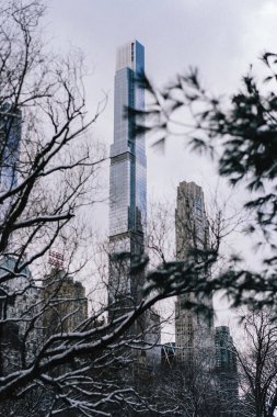 NEW YORK, ABD - 17 Şubat 2024: Kış yapraklarıyla çerçevelenmiş modern gökdelenlerin büyüleyici görüntüsü, kentsel zarafeti en iyi şekilde gözler önüne seriyor
