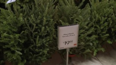 Güzel Noel ağaçları satılık, şenlikli süslemeler ve neşeli kutlamalar için mükemmel.