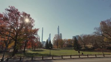 Manzarayı kaplayan güzel, resimli bir park yolu canlı bir sonbahar yeşilliği ve huzurlu bir çevre sunuyor.