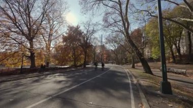 Manzarayı kaplayan güzel, resimli bir park yolu canlı bir sonbahar yeşilliği ve huzurlu bir çevre sunuyor.