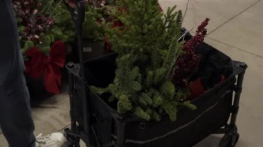 Bayram dekorunu geliştirmek ve şenlik düzenlemeleri yapmak için ideal olan mevsimlik bitkilerle dolu bir araba.