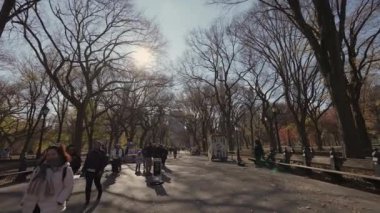 NEW YORK, ABD - 8 ARALIK 2024: Canlı sonbahar ağaçlarıyla çevrili huzurlu bir patika, güneş ışığı yakındaki bir nehre hafifçe yansıyor