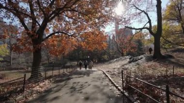 Central Park 'ta çarpıcı bir sonbahar sahnesi ikonik şehir siluetine karşı yaprakların canlı renklerini vurguluyor