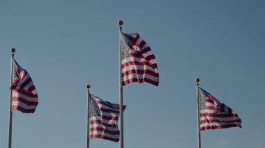Muhteşem ve çarpıcı Amerikan bayrakları gururla ve zarif bir şekilde dalgalanıyor.