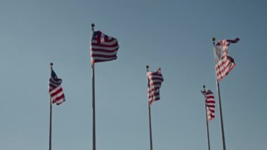 Muhteşem ve çarpıcı Amerikan bayrakları gururla ve zarif bir şekilde dalgalanıyor.
