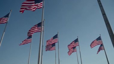 Muhteşem ve çarpıcı Amerikan bayrakları gururla ve zarif bir şekilde dalgalanıyor.