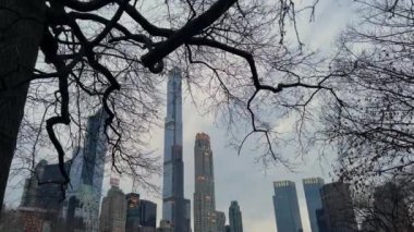 NEW YORK, ABD - 2 Şubat 2024: Central Park yakınlarındaki ufuk çizgisini çıplak ağaçlarla süsleyen çarpıcı ve güzel bir kış sahnesi