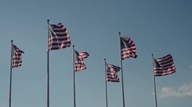 Muhteşem ve çarpıcı Amerikan bayrakları gururla ve zarif bir şekilde dalgalanıyor.