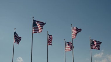 Muhteşem ve çarpıcı Amerikan bayrakları gururla ve zarif bir şekilde dalgalanıyor.