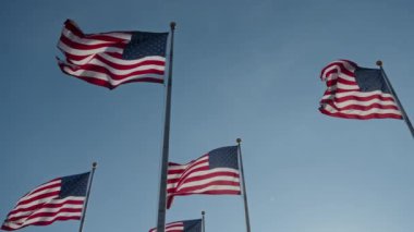Muhteşem ve çarpıcı Amerikan bayrakları gururla ve zarif bir şekilde dalgalanıyor.